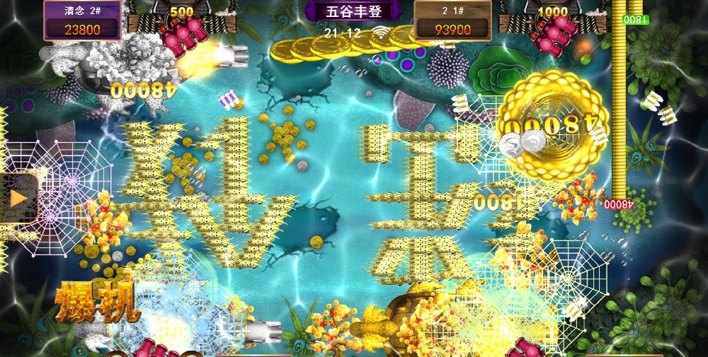 正版星力十代平台游戏玩家