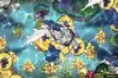 正版星力九代-正版星力九代平台-星力正版九代官网-信誉星力九代